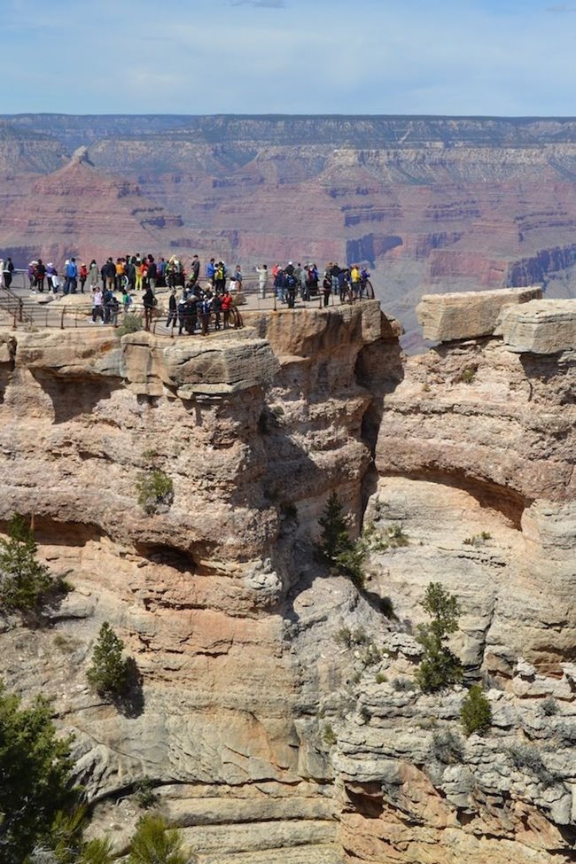 Туристите могат само да зърнат от ръба Големия каньон на река Колорадо, освен ако не са си наели муле повече от година предварително.