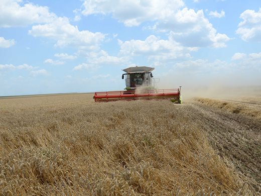 Аграрната камара твърди, че не се е съгласявала да отпадне забраната за внос от Украйна