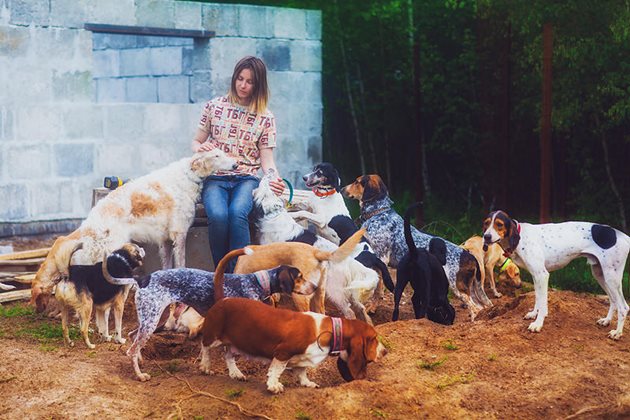Освен лисици Даря Пушкарьова е спасила от сигурна смърт 100 нежелани кучета