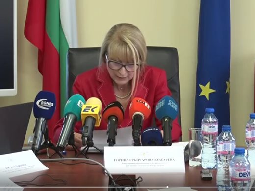 Горица Грънчарова: Липса на кадри е сред причините за забавяне на одитни доклади на Сметната палата