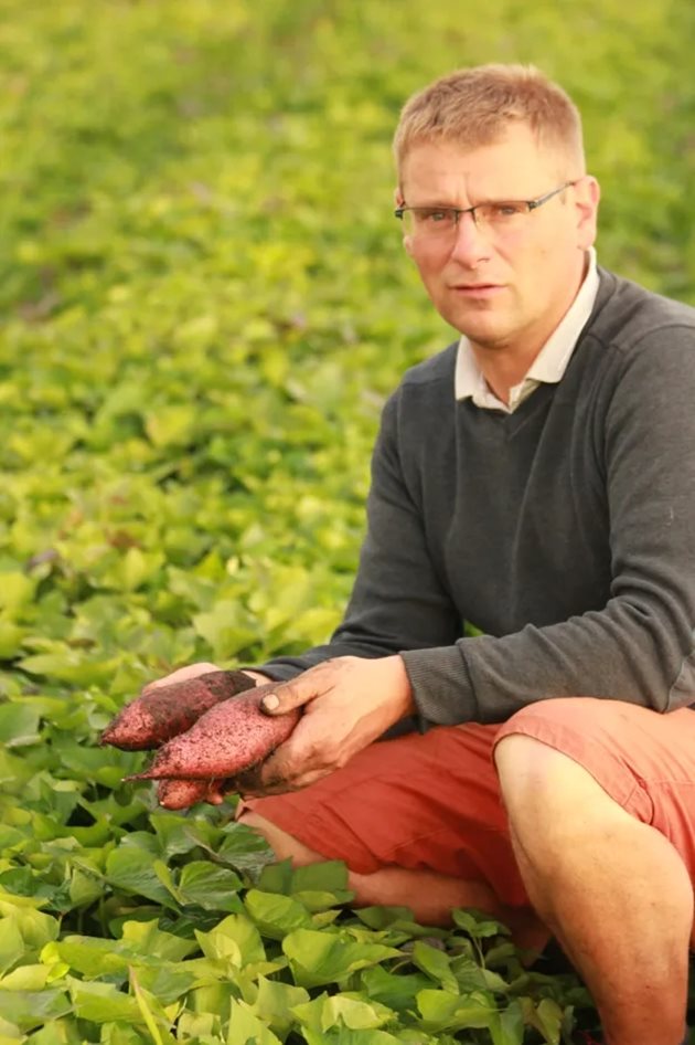 Беноа Лабуй, ръководител на SCEA Pinchagut и SCEA Bio Pinchagut, които се намират в региона Нувел-Акитен във Франция, отбелязва десетия сезон на сладките картофи.