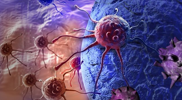 Имунотерапията с Т-клетки е бъдещето на борбата с рака, включително и на млечната жлеза.