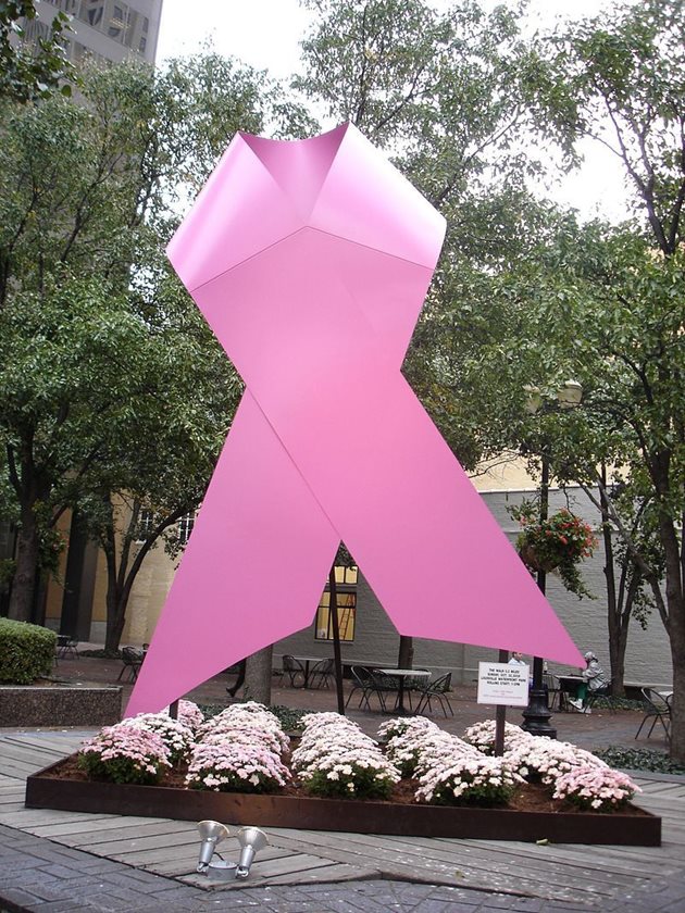 Розовата панделка е символ на борбата с рака на гърдата в целия свят.