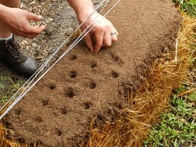 При използването на сламени бали, през първата година те осигуряват място за садене, а на следващата осигуряват почва.