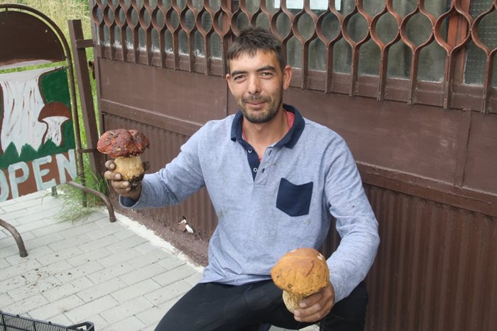 В момента в
 горите край Смолян се 
намира едновременно 
и пролетна, и лятна (вдясно) манатарка.

СНИМКИ: АВТОРЪТ