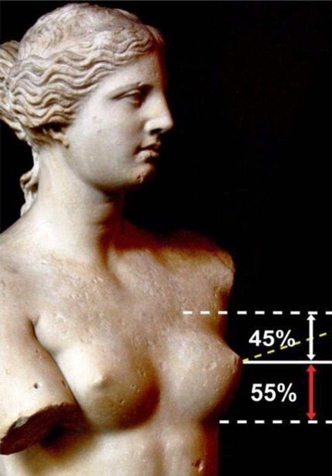 Статуята на Венера Милоска е едно от най-прочутите произведения на древногръцкото скулптурно изкуство, което сега се пази в Лувъра в Париж. Богинята на любовта е изобразена с бюст, който е със златната пропорция 45:55.