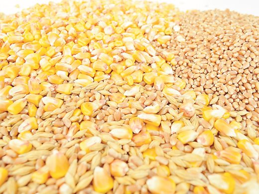Русия, Украйна, Турция и ООН ще обсъдят тази седмица износа на украинско зърно