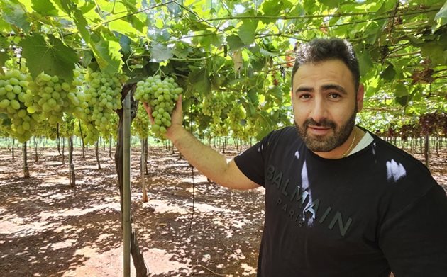 Ели Хадад от Farmers Valley, производител на грозде и костилкови плодове в Бекаа