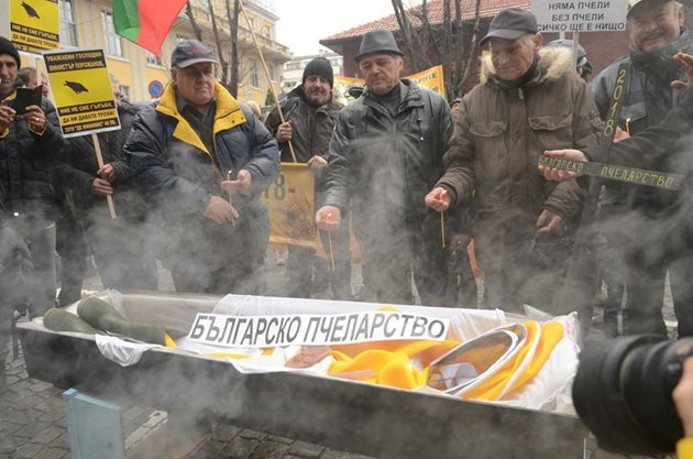Пред сградата те разположиха ковчег с кръст до него, на който написаха: "Българско пчеларство", междувременно символично запалиха свещи. Снимка  kanal3.bg