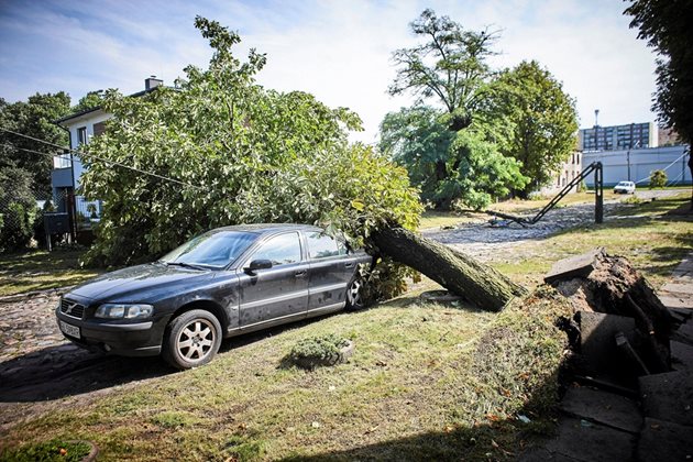 Дърво е смазало кола в Полша, където буря уби 1 човек и рани 2-ма.