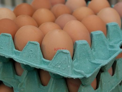 Официален коментар на Лидл България по повод открит фипронил в яйца