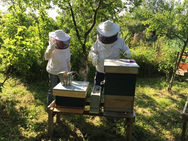За да може да наистина да контролирате медосбора, на пчелина трябва да имате контролен кошер. И да записвате стрикто всичко, което правите, в дневника на пчелина!