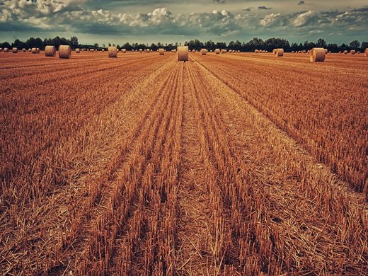 "Възраждане": Правят лобистки поправки в ДОПК, свързани със земеделските земи