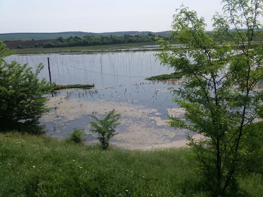 Загуби на вода в “Напоителни системи”, дружеството затънало в големи дългове