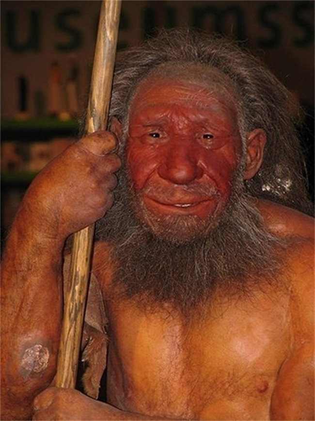 Възстановка на неандерталец СНИМКА: Уикипедия
