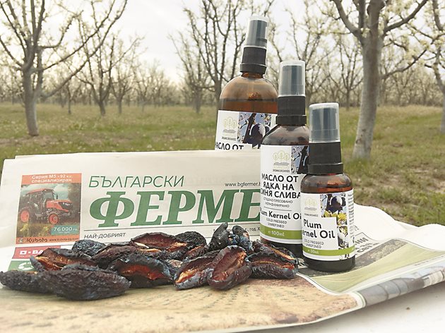 Янко и Ростислав предлагат студено пресовано масло от ядката в костилката на сливата. След като се пресова, минава през активен въглен и пакетиране в шишенца по 100, 200 и 300 милилитра.