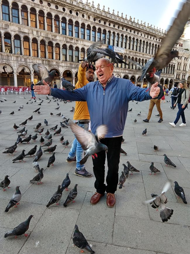 Да вдигнем гълъбите, макар да е забранено да се хранят във Венеция - Вучков рискува със семенца.
