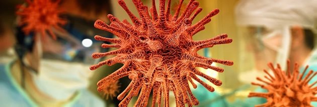 Компютърно изображение на коронавируса. Снимка: Пиксабей