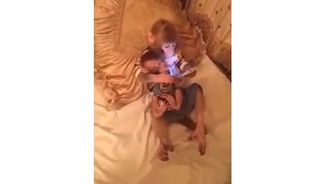 Маймуна учи бебето си да работи с таблет (Видео)