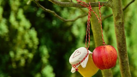 Нестандартни рецепти за компот от ябълки