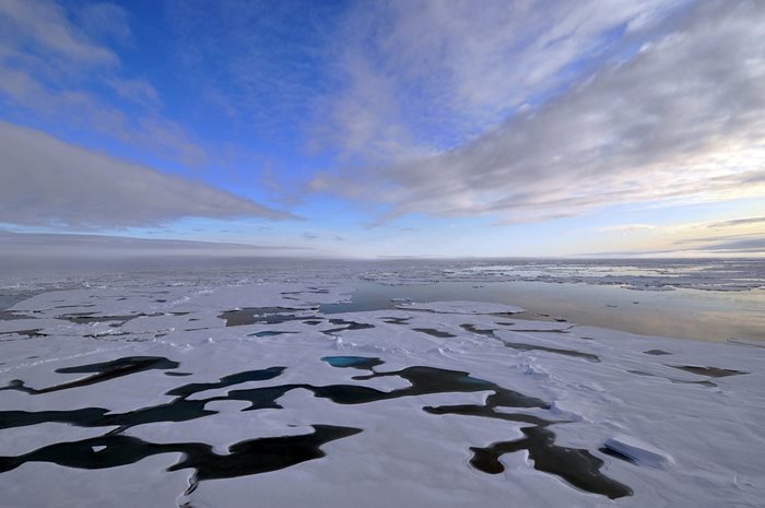 Северният ледовит океан СНИМКА: Pixabay