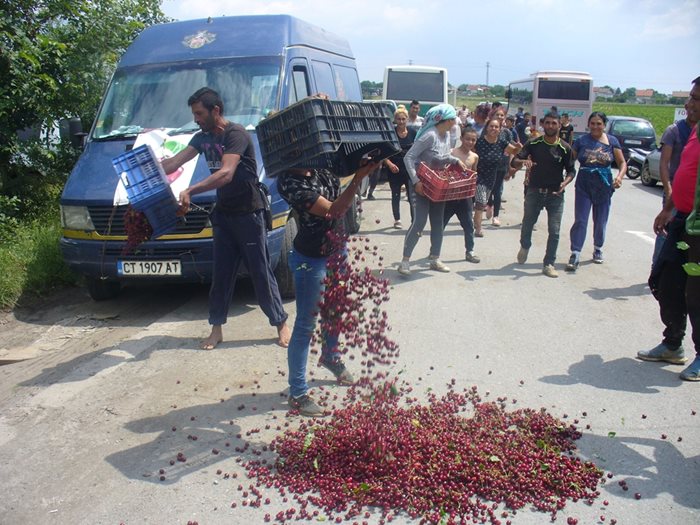 В началото на миналата седмица недоволни от ниските изкупни цени производители и берачи изсипаха щайги с череши на пътя към старозагорското село Загоре.