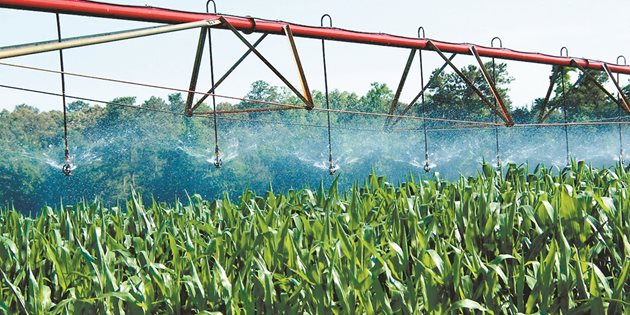 Малко фермери използват научно обосновани инструменти, за да им помогнат да решат кога и колко да поливат реколтата си, според ново проучване, ръководено от Университета на Илинойс