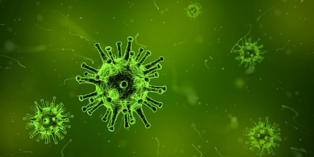 От утре  се отменя грипната пандемия в София
СНИМКА: Pixabay