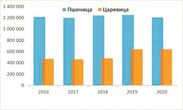 Фиг. 3. Площи с пшеница и царевица в хектари.
Източник: Графиката е съставена по данни на МЗм, отдел „Агростатистика”.