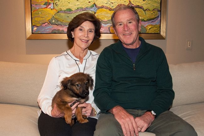 Джордж Буш-младши и съпругата му Лора с новия им домашен любимец Фреди. Президентът владее испански, произнасял е речи на испански.