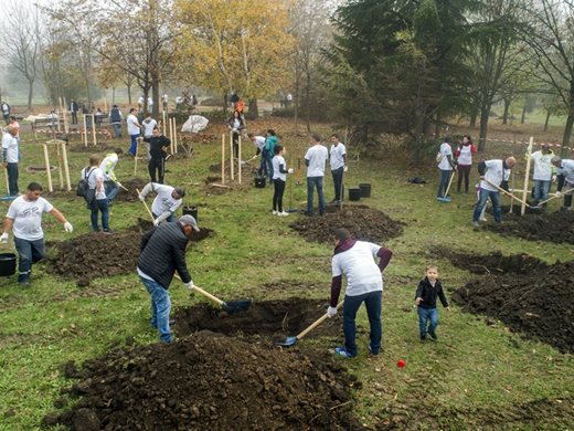 Доброволци от “Джи Пи Груп” засадиха над 1600 дървета