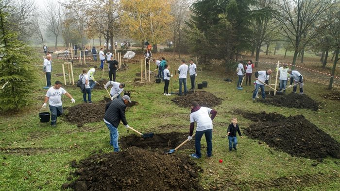 Служители от "Джи Пи Груп" засадиха над 1600 дървета в София и Бургас.