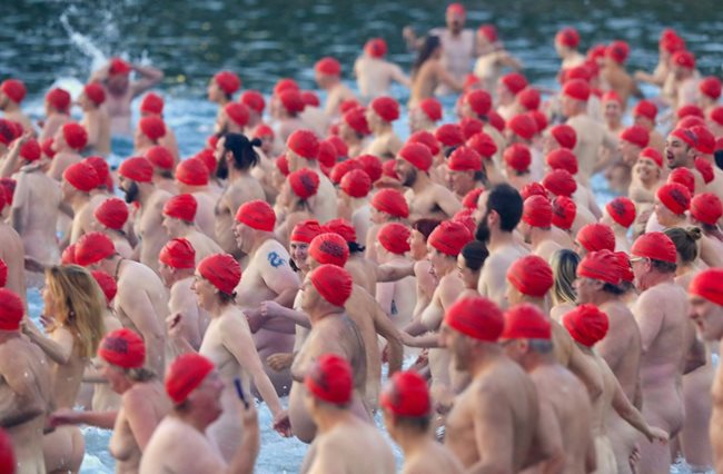 Общо 1020 души са понесли стоически температурата от 11 градуса Целзий, за да се включат в традиционното голо плуване СНИМКИ: РОЙТЕРС
