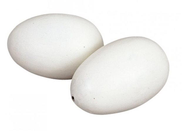 Купете си изкуствени яйца за проба