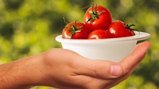 Как да отгледаме чери домати на балкона (+рецепта)