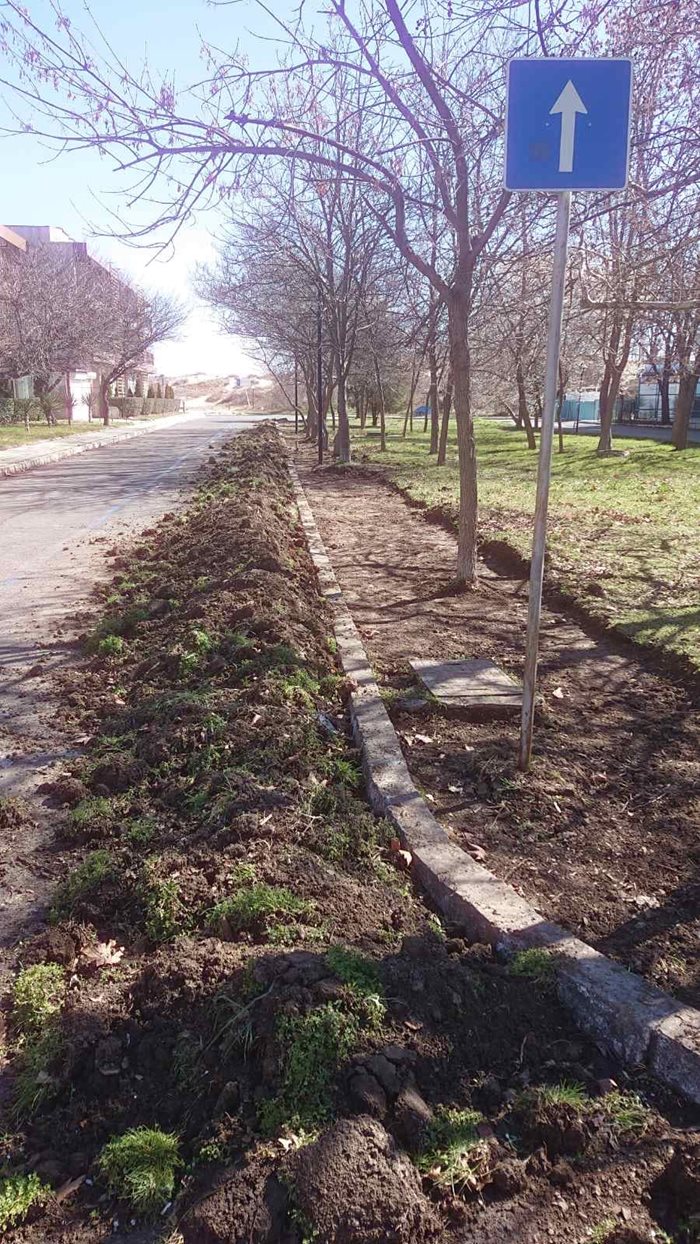 В момента масово се подменят старите тротоари с нови.