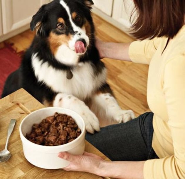 Нахранете кучето, преди да седнете на празничната маса