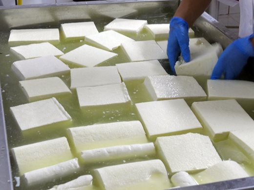 Държавна компания видя 80% надценка при мляко, сирене и кашкавал