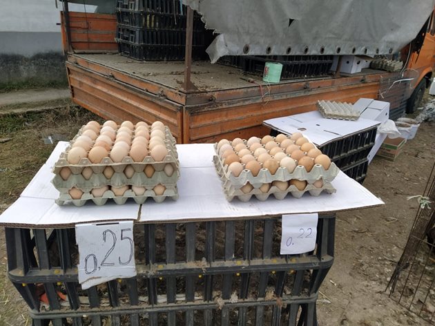 Едрите домашни яйца са 25 ст., а по-малките - 22.