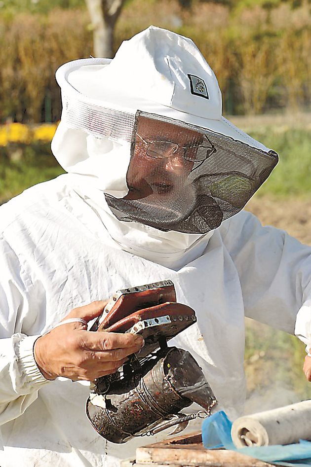При прегледите пчеларят трябва да е със светли дрехи от гладка материя. От тъмните влакнести дрехи пчелите се дразнят. Затова подходящи са престилката и работният гащеризон – в бял или жълт цвят, ръкавите и крачолите се пристягат с ластик, за да се избегне влизане на пчели по време на работа.