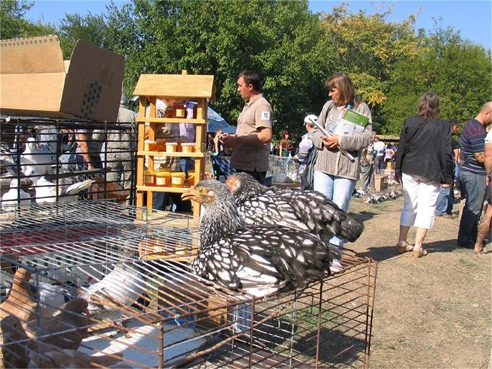 Птиците чакат първа субсидия. 
