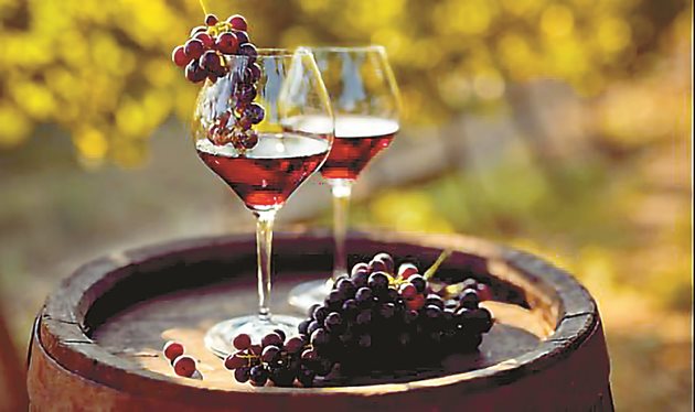 За червени вина най-подходящи са умерено влажните, добре аерирани почви с добър топлинен режим
