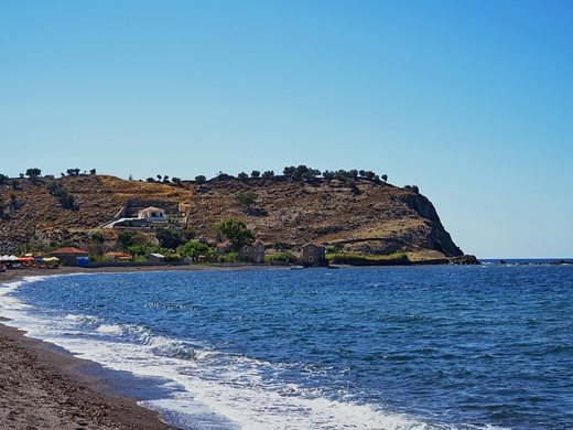 Вкаменелости на два милиона години са открити на гръцкия остров Лесбос