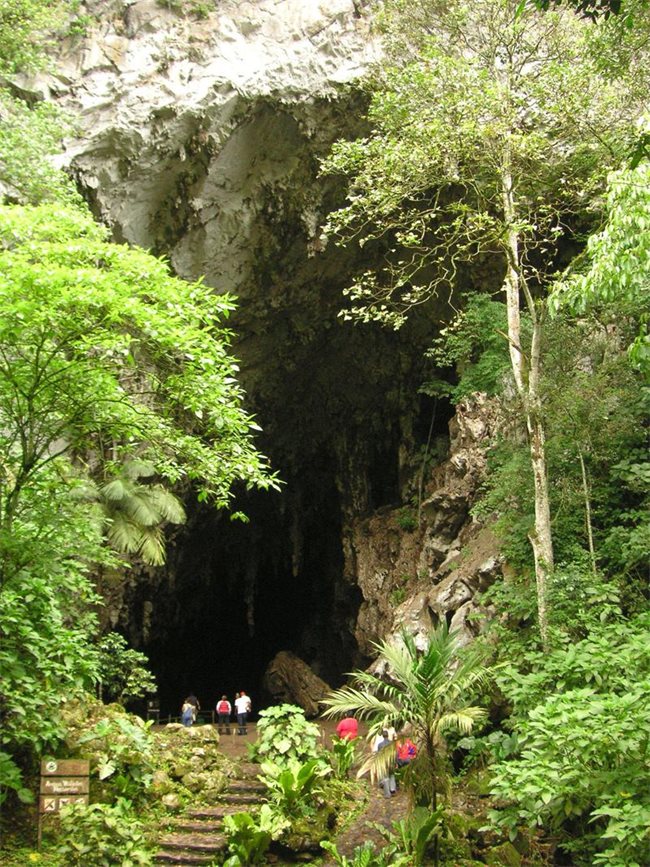 Входът на пещерата Гуачаро.