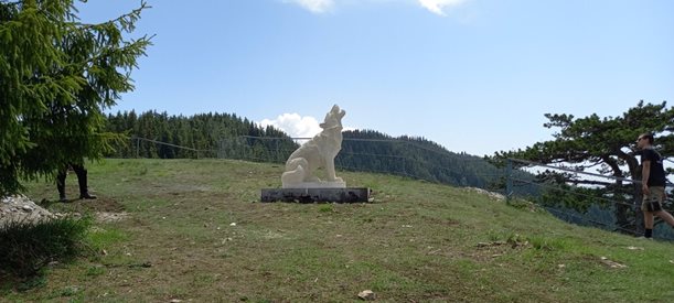 Поставиха каменен вълк край панорамна площадка "Вълчи камък" в Родопите