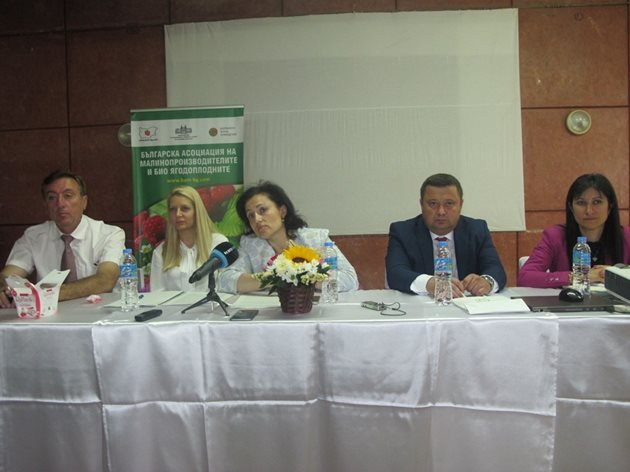 На срещата си с ягодо- и малинопроизводителите министър Танева се ангажира с проблемите в сектора Снимка: Ваня Велинска