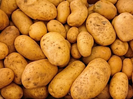Пресните картофи достигнаха 12 лв./кг