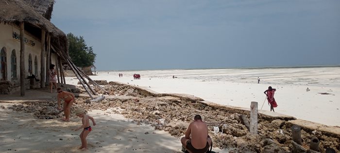 Занзибар се самообяви за зона, свободна от COVID-19 и с това се превърна в един от туристическите хитове за хората, желаещи да пътуват до екзотична дестинация. През последните 2-3 месеца всеки ден от летище София потегяха по два чартъра в тази посока.

СНИМКА: ЮРИ ДИМИТРОВ