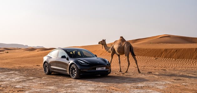 1093 коли Tesla внесени у нас през 2024 г., 57 ферарита и 32 ролс-ройса