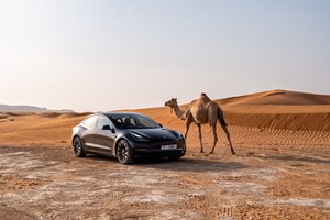 1093 коли Tesla внесени у нас през 2024 г., 57 ферарита и 32 ролс-ройса